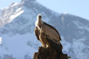 Zoo Salzburg  